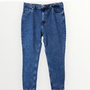 Everlane The Original Cheeky Jean Size 33 Tall